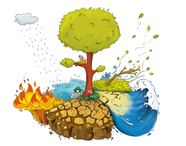 Birdie sitting on a tree surrounded by harsh environmental elements such as fire, storm drought and floods.
