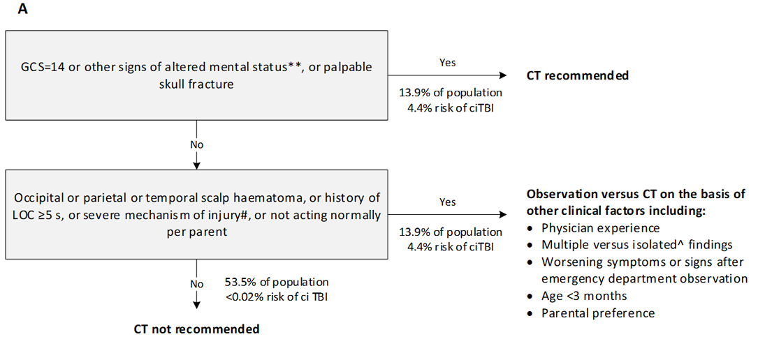 Paediatric Emergency Care Applied Research Network (PECARN) suggested CT algorithm for children younger than 2 years