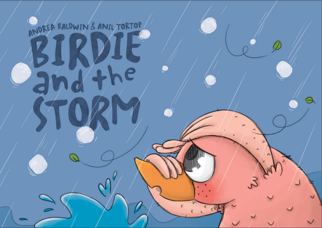 Birdie and the storm book cover
