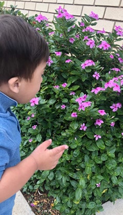 George smelling flowers