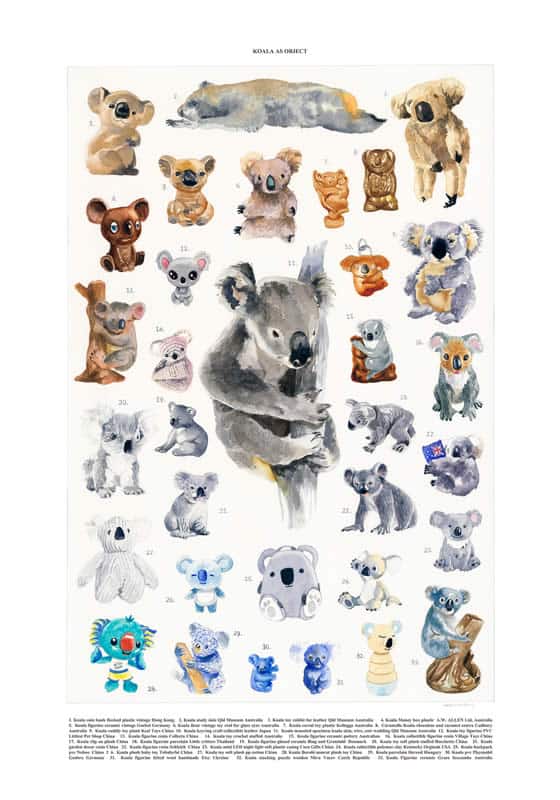 Deb Mostert - Koala as Object